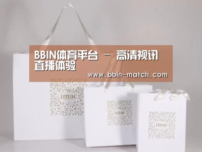 项目名称十一