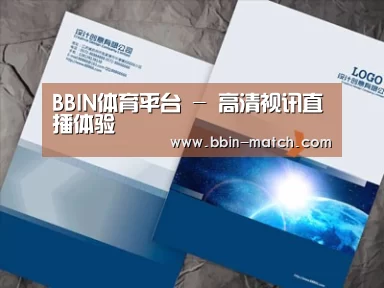 项目名称十
