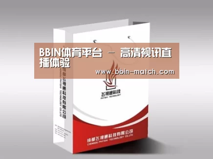 项目名称十三