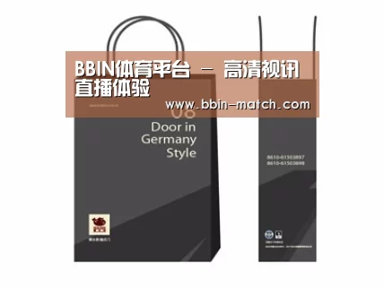 项目名称十四