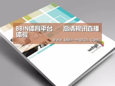 项目名称九