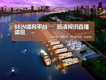 案例展示八