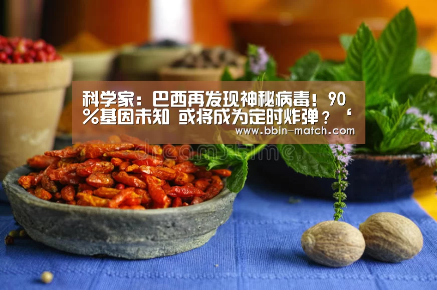 科学家:巴西再发现神秘病毒!90%基因未知 或将成为定时炸弹?‘BBIN体育’(图2) BBIN足球