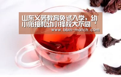 山东义务教育免试入学,幼小衔接和幼小择校大不同‘BBIN篮球’(图1) BBIN篮球