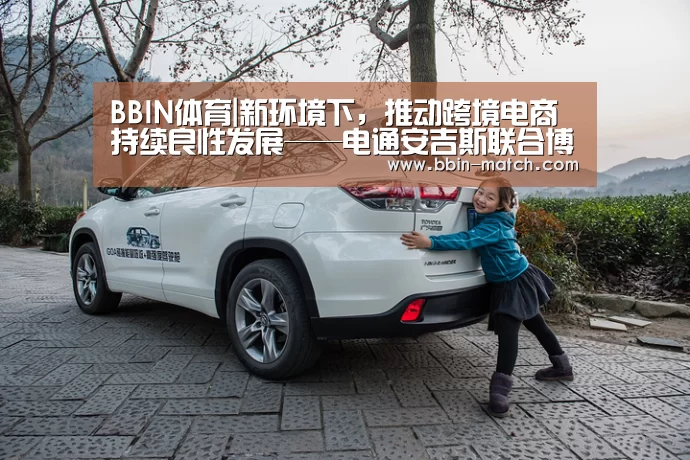 BBIN体育|新环境下,推动跨境电商持续良性发展——电通安吉斯联合博略德成功举办2016跨境电商峰会(图4) BBIN足球