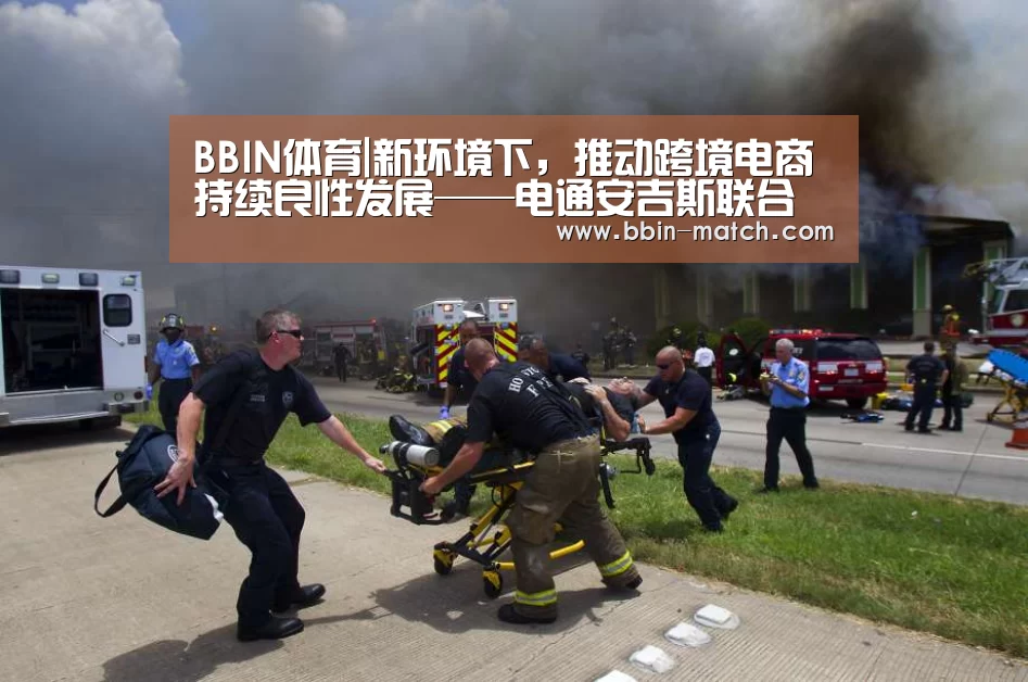 BBIN体育|新环境下,推动跨境电商持续良性发展——电通安吉斯联合博略德成功举办2016跨境电商峰会(图2) BBIN篮球