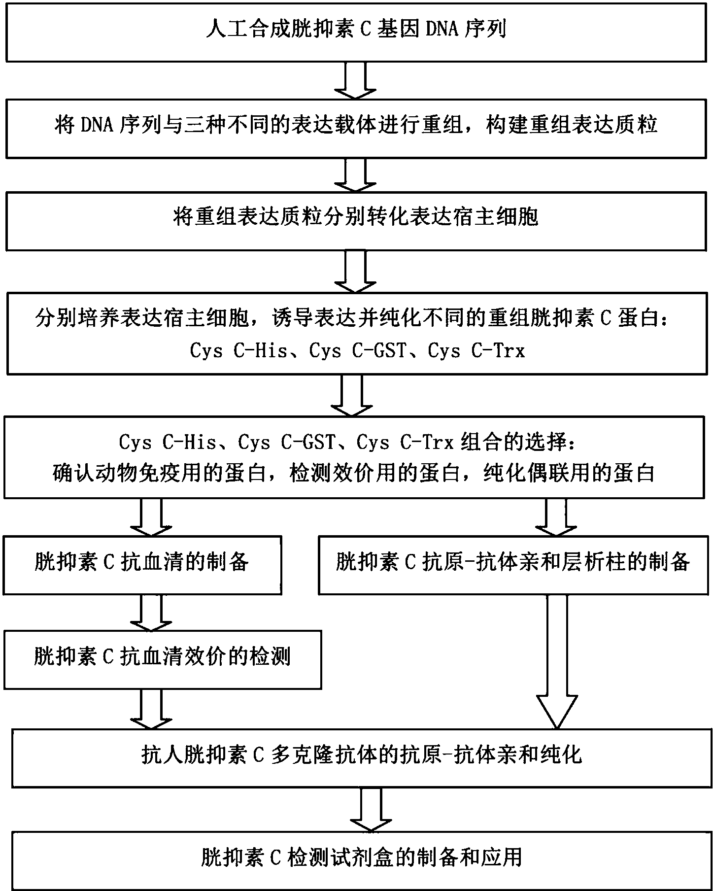 山东解除防汛预警:河湖洪水、内涝积水仍在消退过程中-BBIN体育(图4) BBIN足球