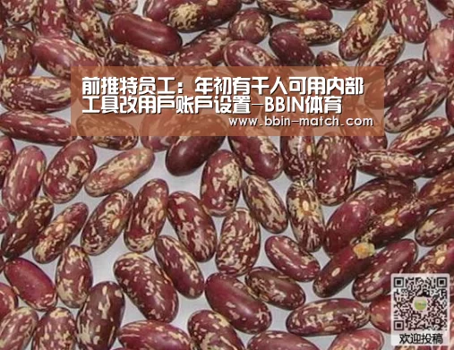 前推特员工:年初有千人可用内部工具改用户账户设置-BBIN体育(图2) BBIN足球
